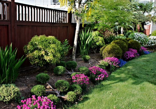 Monthly Gardening