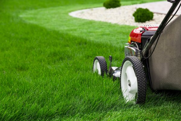 Monthly Lawn Mowing