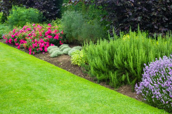 Monthly Garden Upkeep