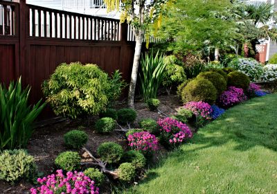 Monthly Gardening