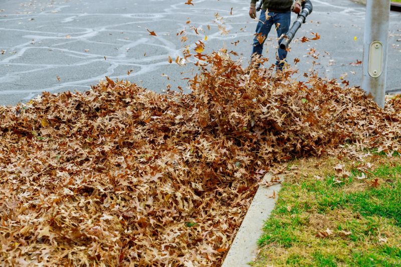 Efficient Leaf Removal
