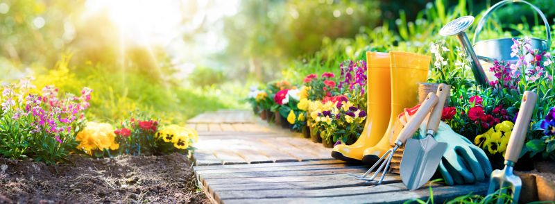 Monthly Gardening Cost Guide — Cost of Monthly Gardening