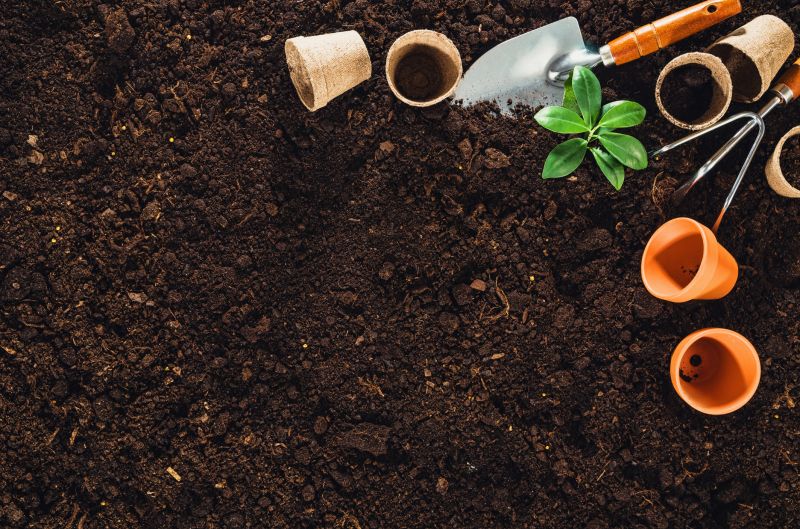 Early Winter Garden Preparation