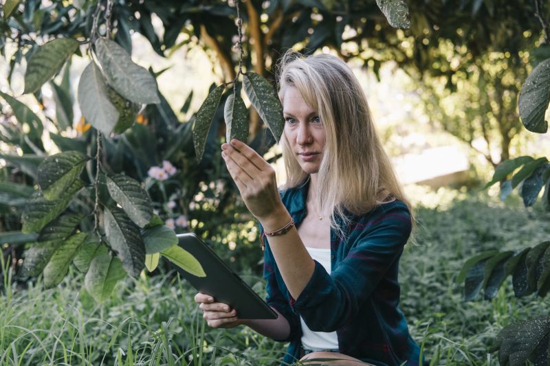 Pest and Disease Control